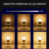 Умная светодиодная лампочка E27 RGB + CCT Bluetooth Smart Led Bulb 10W Tuya, лед многоцветная Е27, теплая, холодая лампа с Алисой, Siri, Alexa, Google