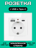 Розетка встраиваемая с USB Type-c и заземлением 