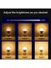 Умная светодиодная лампочка E27 RGB + CCT WiFi Smart Led Bulb 10W Tuya / Лед многоцветная Е27, теплая, холодная лампа с Алисой, Siri, Alexa, Google