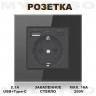 Розетка встраиваемая с USB Type-c и заземлением