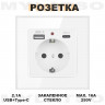 Розетка встраиваемая с USB Type-c и заземлением