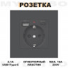 Розетка встраиваемая с USB Type-c и заземлением