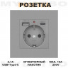 Розетка встраиваемая с USB Type-c и заземлением