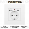 Розетка встраиваемая с USB Type-c и заземлением
