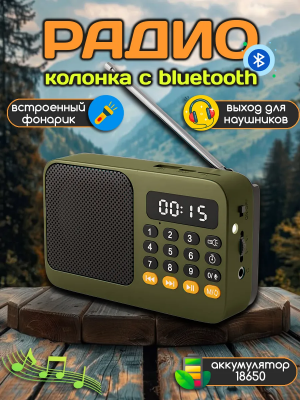 Радиоприемник цифровой мини с флешкой аккумулятором от сети