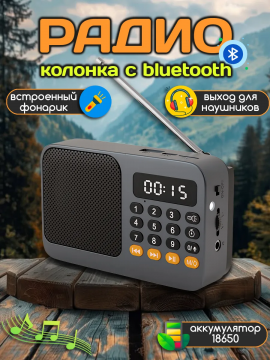 Радиоприемник цифровой мини с флешкой аккумулятором от сети